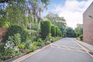 Photo 11- click for photo gallery